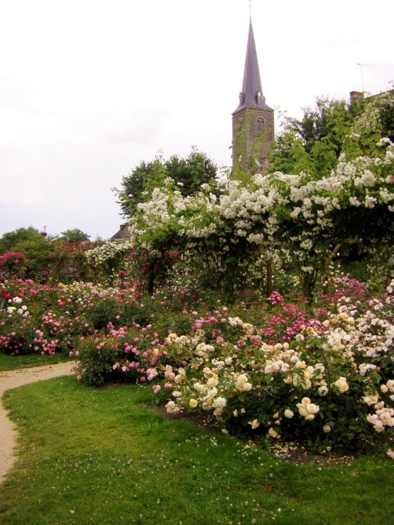 Bed and Breakfast La Cloue Sainte-Marie-du-Bois  Exterior foto