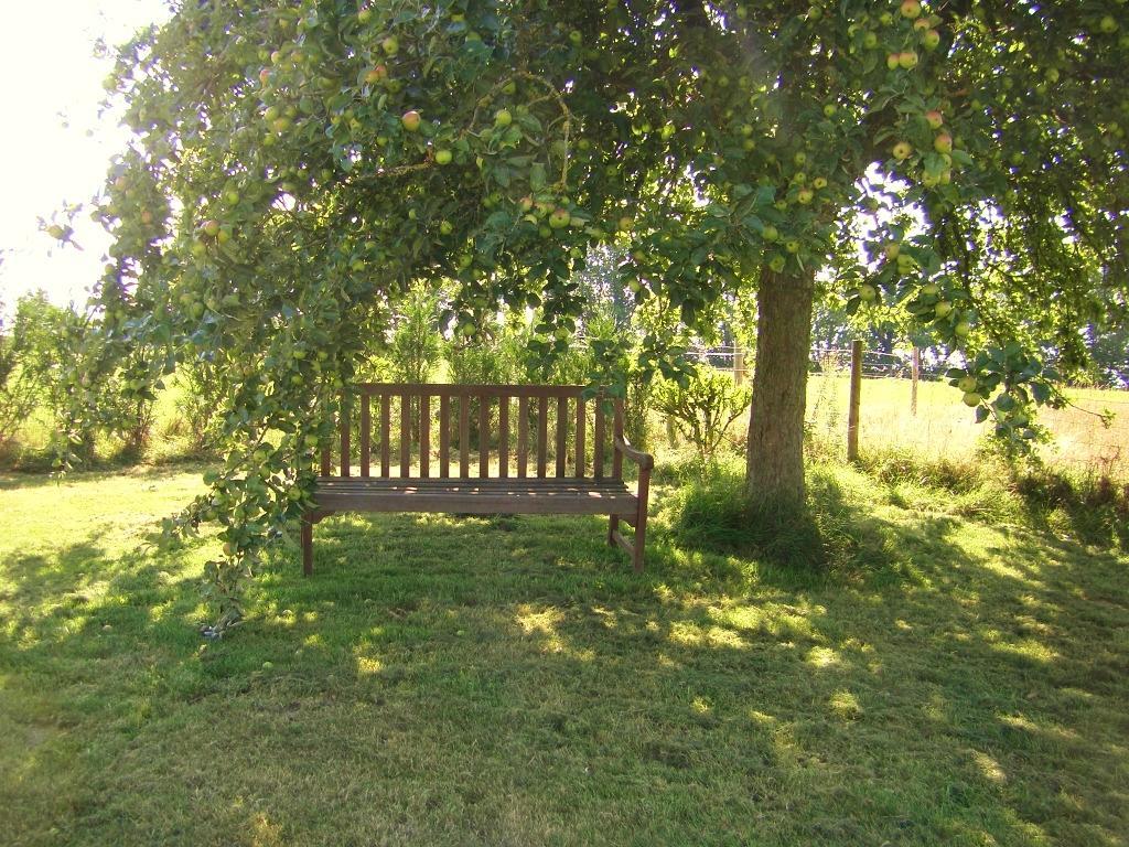Bed and Breakfast La Cloue Sainte-Marie-du-Bois  Exterior foto